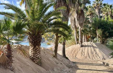 Villa in Tossa de Mar (Santa María de Llorell) - Foto 4