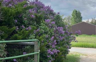 Silver Ranch - Foto 28