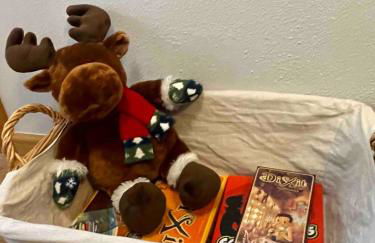 Apartamento Villanua centro - Foto 11