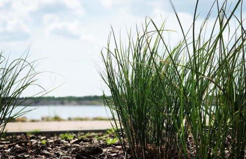 Fewo-Exklusiv "Seeblick" - Foto 22