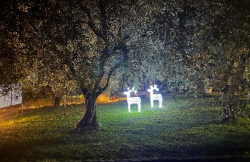 Agricamping Al grappolo diVino - Foto 48