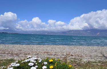 Panorama View Aigio - Foto 34