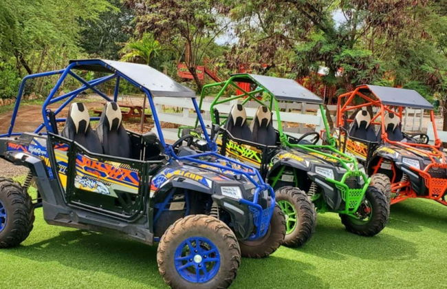 Tour en buggy por Kapolei - Foto 2