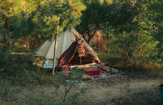 Kelebekler Vadisi Butterfly Valley - Foto 9