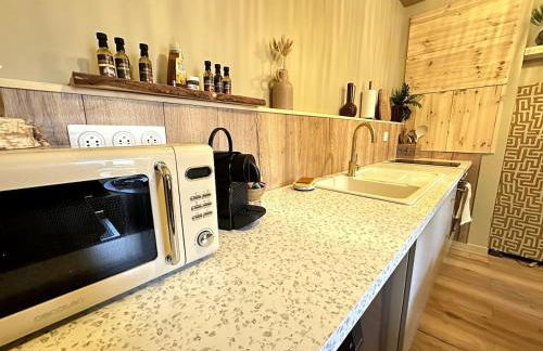 LE COTTAGE, T2, Hyper center, Terrasse - Foto 27