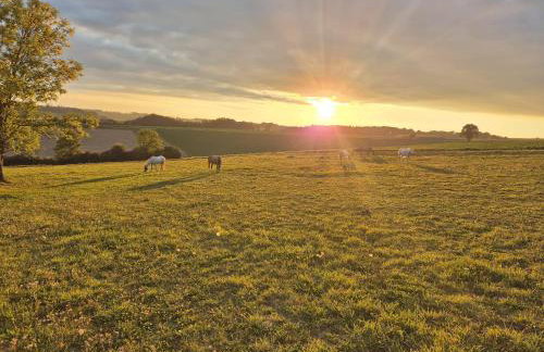Ferienwohnung mit sonniger Dachterrasse am Pferdehof - Foto 17