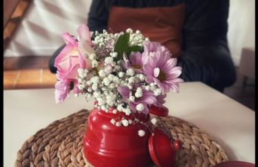 jolie maisonnette proche plage et activités nautiques - Foto 5