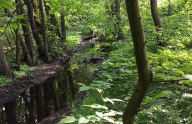 Ländliches HideAway zwischen Hamburg und Lübeck - Foto 28