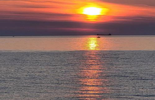 The Wee Cabbage - Foto 6