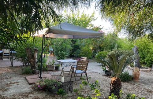 Da Paolo e Lilli - Foto 11