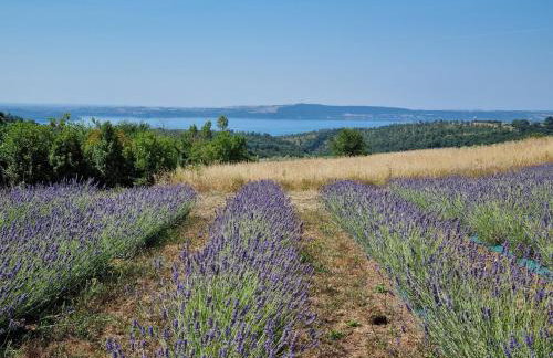 Borgo del Mastro è la vostra vacanza bucolica! - Foto 1