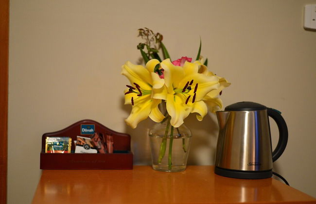 Abisko Lodge - Foto 34