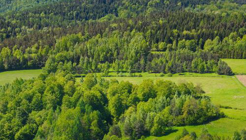 Antkowe Wzgórze - Foto 2