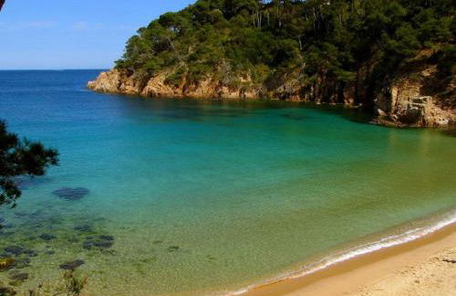 "La Terrasse de la Mer 1" Résidence"Sol y Mar" AC-Wifi-BBQ-Piscine-Pkg - Foto 65