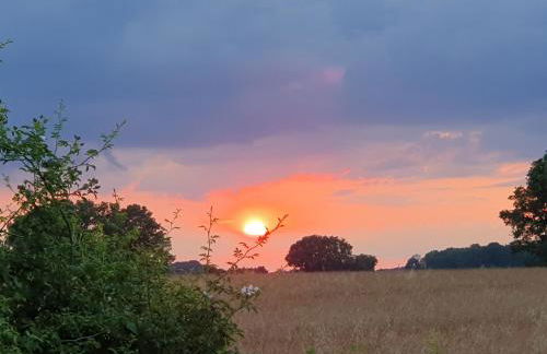 Gite de la Guernouille - Foto 34