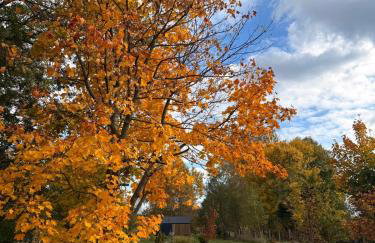 RiverHouse - Foto 17