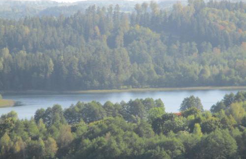 Dworek Telimena - Foto 25