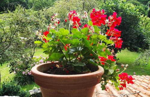 Finca Artienza - Foto 23