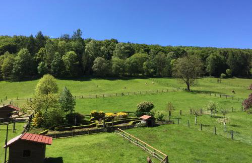 Ferienhaus Buren-Hof - Foto 35