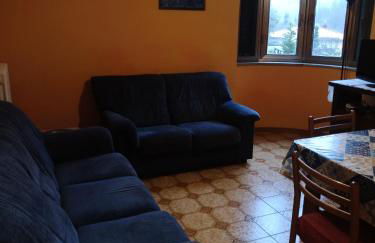 Gli Aristogatti - Foto 9