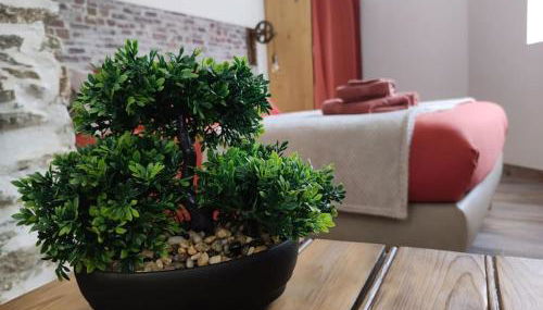 Appartement T1 centre-ville Beaupréau - Foto 4