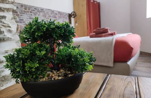 Appartement T1 centre-ville Beaupréau - Photo 4