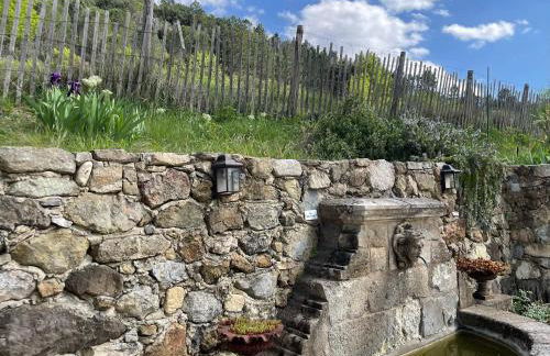 Mas Suéjol - Foto 38