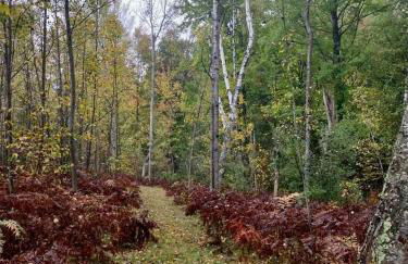 Cozy Private Log Cabin on acreage - Foto 17