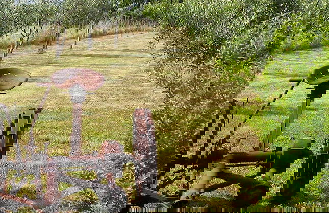 Agriturismo Le Sorgenti - Foto 36