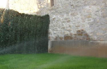 Nekasenea II - Foto 18