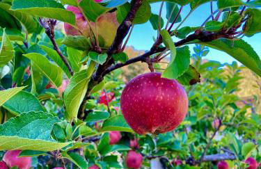 Casa Mediterraneo - Foto 65