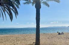 Villa Telma - Foto 16