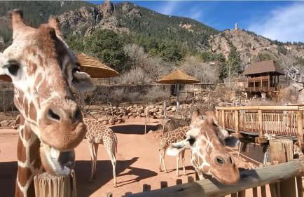 Sheridan Wildflower Downtown Family Fun w Firepit - Foto 69