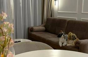 Let's Sea SPA - Premium Apartamenty z ogródkiem, przyjazne zwierzętom - Foto 27