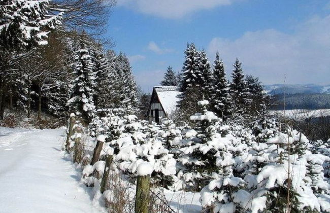 Ruhige Wohnung im Sauerland mit Terrasse - Foto 18