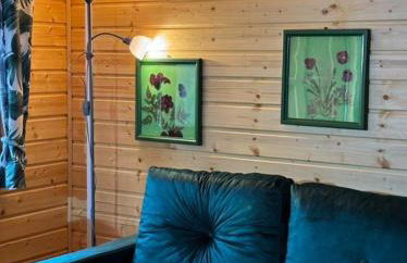 Butelkowa Zieleń - Foto 32