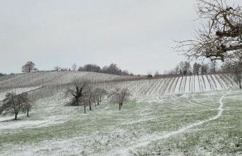 Apartment am Weinberg Kleinaspach - Foto 8
