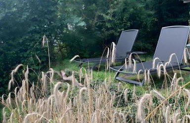 Ferienwohnung Auszeit - Photo 20