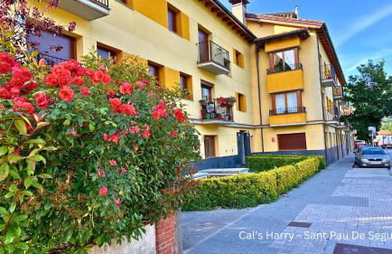 Cal Harrys - La Mejor Casa de vacaciones en Pyrenees con Vistas a la Montaña - Photo 1