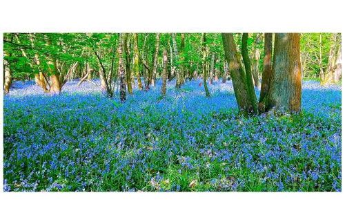 Croft Lodge Studio - Foto 22