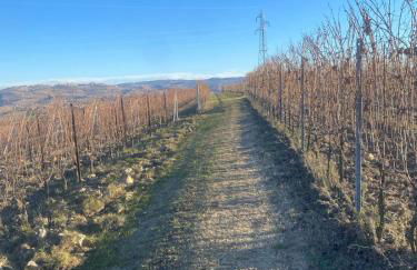 Casa a Roddi con vista sulle Colline - Foto 25