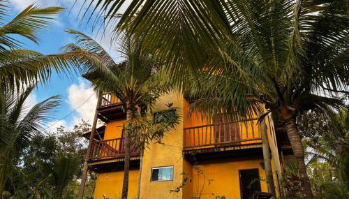 Casa Amar'ela Refugio Tropical, PERTO DAS MELHORES PRAIAS !!!!! - Foto 2, Garden view