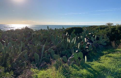 Relais Masseria Sant'Antonio - Foto 41