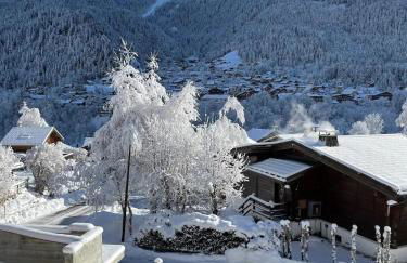 Chalet Cristal II - Photo 8