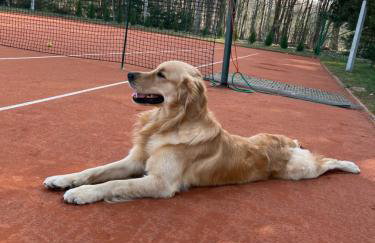 Brzozowy Zakątek - Foto 7