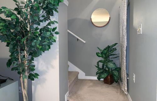 Terra Verde Vacation Rentals - Foto 18