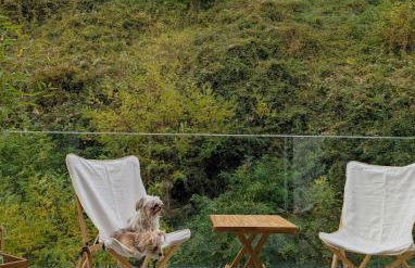 Appartement calme et lumineux au cœur de Carteret - Foto 6