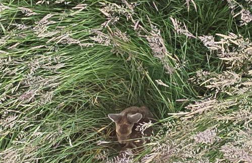 Das Blaue Haus - Foto 18