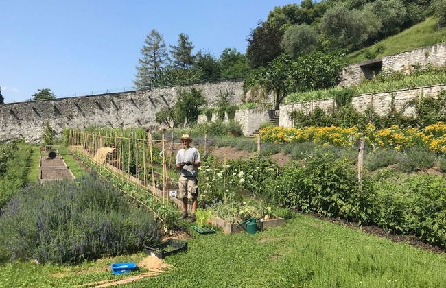 Agriturismo la Derta - Photo 22