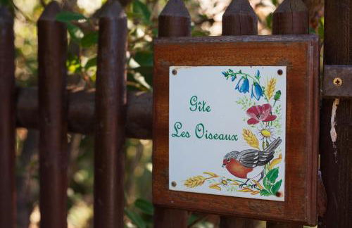 Les Oiseaux - Foto 14